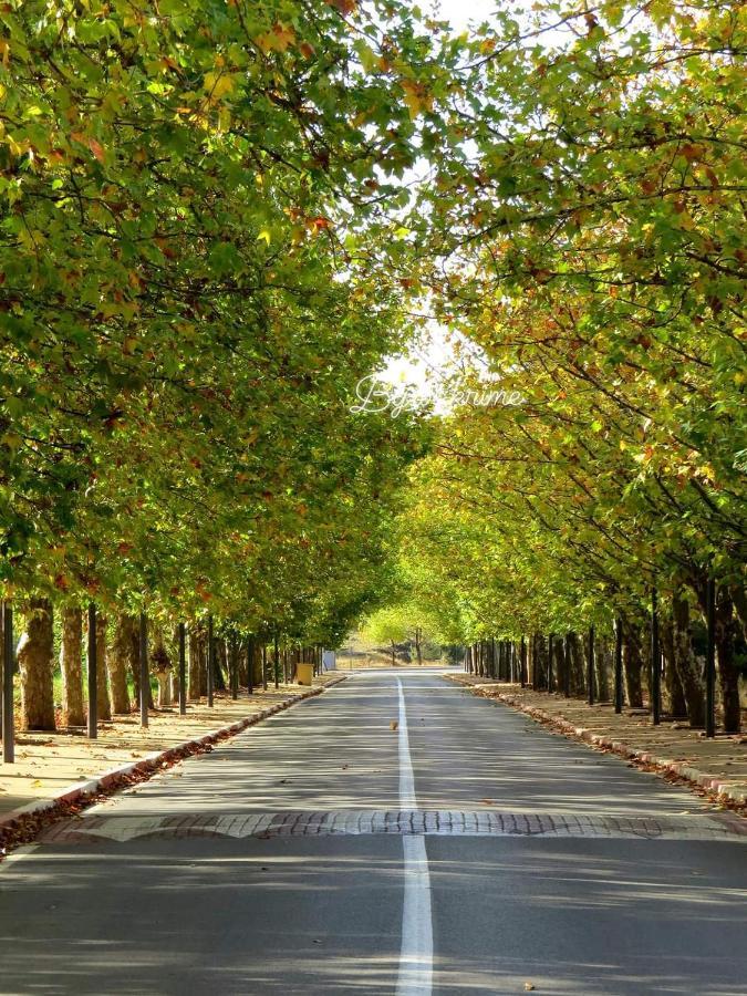 Appartement Amira Ifrane Ifrane  Ngoại thất bức ảnh